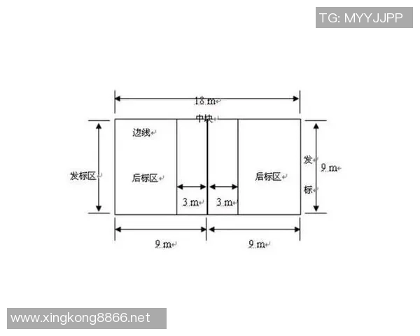 体育实时数据排球新手必看力量训练入门指南助你快速提升竞技水平 体育实时数据排球新手必看力量训练入门指南助你快速提升竞技水平