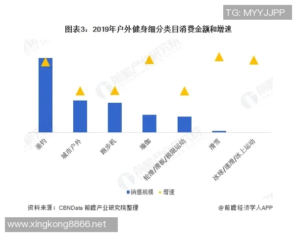 今年运动数据重庆飞盘队战术解析与实战应用的深度探讨与思考
