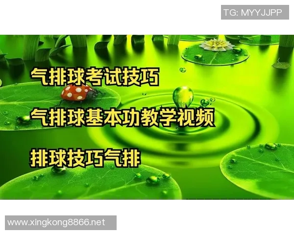 2026年3月份新闻从零开始掌握排球技巧与策略全解析助你成为排球高手 2026年3月份新闻从零开始掌握排球技巧与策略全解析助你成为排球高手